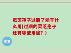灵芝孢子过期了能干什么用(过期的灵芝孢子还有哪些用途？)