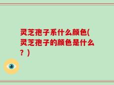 灵芝孢子系什么颜色(灵芝孢子的颜色是什么？)