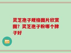 灵芝孢子规格图片欣赏图？灵芝孢子粉哪个牌子好