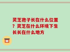 灵芝孢子长在什么位置？灵芝在什么环境下生长长在什么地方