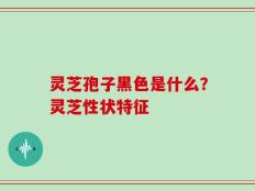 灵芝孢子黑色是什么？灵芝性状特征