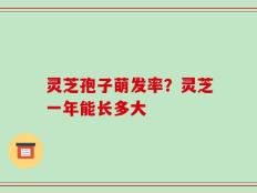灵芝孢子萌发率？灵芝一年能长多大