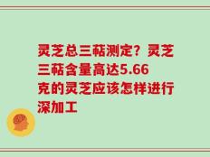 灵芝总三萜测定？灵芝三萜含量高达5.66克的灵芝应该怎样进行深加工