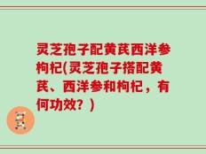 灵芝孢子配黄芪西洋参枸杞(灵芝孢子搭配黄芪、西洋参和枸杞，有何功效？)