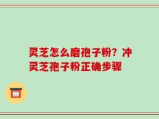 灵芝怎么磨孢子粉？冲灵芝孢子粉正确步骤
