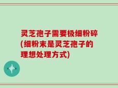 灵芝孢子需要极细粉碎(细粉末是灵芝孢子的理想处理方式)
