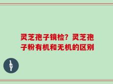 灵芝孢子镜检？灵芝孢子粉有机和无机的区别