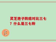 灵芝孢子防癌对比三七？什么是三七粉