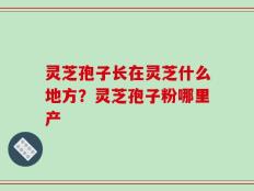 灵芝孢子长在灵芝什么地方？灵芝孢子粉哪里产