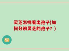 灵芝怎样看出孢子(如何分辨灵芝的孢子？)
