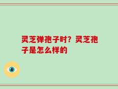 灵芝弹孢子时？灵芝孢子是怎么样的