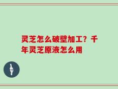 灵芝怎么破壁加工？千年灵芝原液怎么用