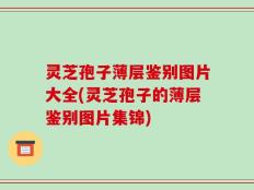 灵芝孢子薄层鉴别图片大全(灵芝孢子的薄层鉴别图片集锦)