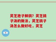 灵芝孢子鲜鸽？灵芝鸽子汤的做法，灵芝鸽子汤怎么做好吃，灵芝