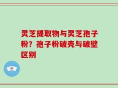 灵芝提取物与灵芝孢子粉？孢子粉破壳与破壁区别