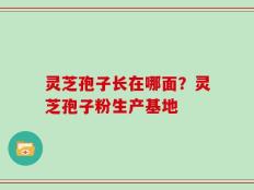 灵芝孢子长在哪面？灵芝孢子粉生产基地