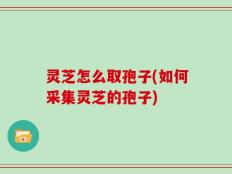 灵芝怎么取孢子(如何采集灵芝的孢子)