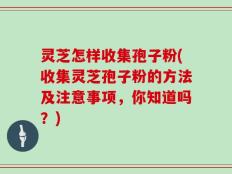 灵芝怎样收集孢子粉(收集灵芝孢子粉的方法及注意事项，你知道吗？)