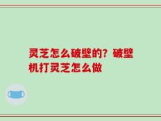 灵芝怎么破壁的？破壁机打灵芝怎么做