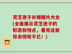 灵芝孢子长相图片大全(全面展示灵芝孢子的形态和特点，看完这些你会惊叹不已！)
