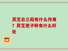 灵芝总三萜有什么作用？灵芝孢子粉有什么好处