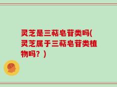 灵芝是三萜皂苷类吗(灵芝属于三萜皂苷类植物吗？)