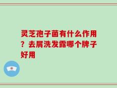 灵芝孢子菌有什么作用？去屑洗发露哪个牌子好用