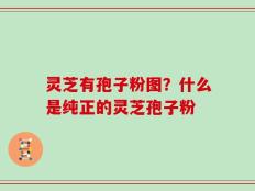 灵芝有孢子粉图？什么是纯正的灵芝孢子粉