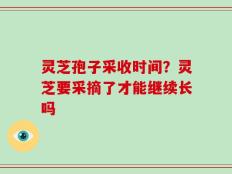 灵芝孢子采收时间？灵芝要采摘了才能继续长吗