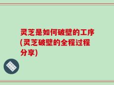 灵芝是如何破壁的工序(灵芝破壁的全程过程分享)