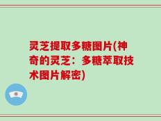 灵芝提取多糖图片(神奇的灵芝：多糖萃取技术图片解密)