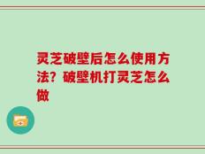 灵芝破壁后怎么使用方法？破壁机打灵芝怎么做
