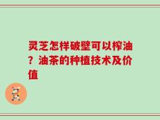 灵芝怎样破壁可以榨油？油茶的种植技术及价值