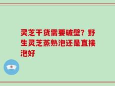 灵芝干货需要破壁？野生灵芝蒸熟泡还是直接泡好