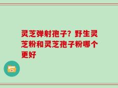 灵芝弹射孢子？野生灵芝粉和灵芝孢子粉哪个更好