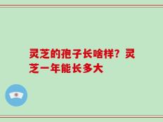 灵芝的孢子长啥样？灵芝一年能长多大