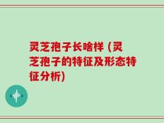 灵芝孢子长啥样 (灵芝孢子的特征及形态特征分析)