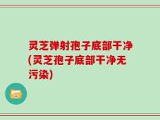 灵芝弹射孢子底部干净(灵芝孢子底部干净无污染)