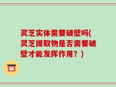 灵芝实体需要破壁吗(灵芝提取物是否需要破壁才能发挥作用？)