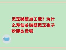灵芝破壁加工费？为什么寿仙谷破壁灵芝孢子粉那么贵呢