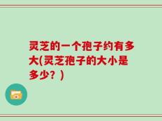 灵芝的一个孢子约有多大(灵芝孢子的大小是多少？)