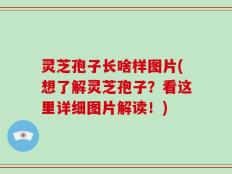 灵芝孢子长啥样图片(想了解灵芝孢子？看这里详细图片解读！)