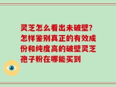 灵芝怎么看出未破壁？怎样鉴别真正的有效成份和纯度高的破壁灵芝孢子粉在哪能买到