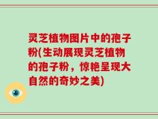 灵芝植物图片中的孢子粉(生动展现灵芝植物的孢子粉，惊艳呈现大自然的奇妙之美)