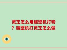 灵芝怎么用破壁机打粉？破壁机打灵芝怎么做