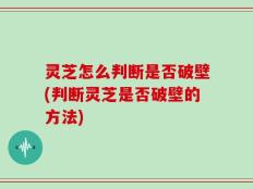 灵芝怎么判断是否破壁(判断灵芝是否破壁的方法)