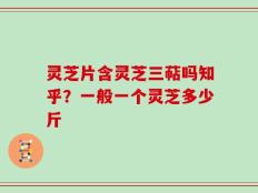 灵芝片含灵芝三萜吗知乎？一般一个灵芝多少斤