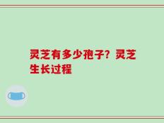 灵芝有多少孢子？灵芝生长过程