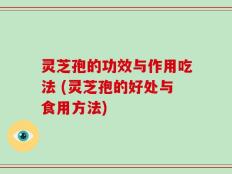 灵芝孢的功效与作用吃法 (灵芝孢的好处与食用方法)
