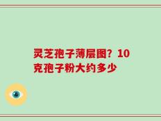 灵芝孢子薄层图？10克孢子粉大约多少